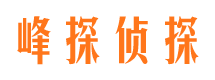 吉水市婚外情调查